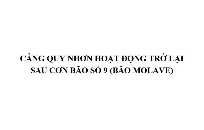 CẢNG QUY NHƠN HOẠT ĐỘNG TRỞ LẠI SAU CƠN BÃO SỐ 9 (BÃO MOLAVE)